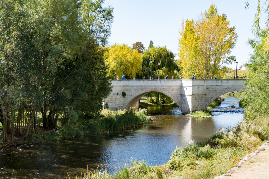 20171010 132508 , Burgos, Castille and Leon, Spain